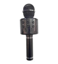Karaoke mikrofonlu bluetooth aux usb hafıza kart destekli hoperlör - H1N